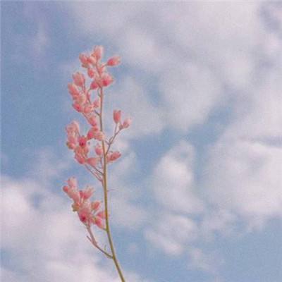 kaiyun体育最新版安装