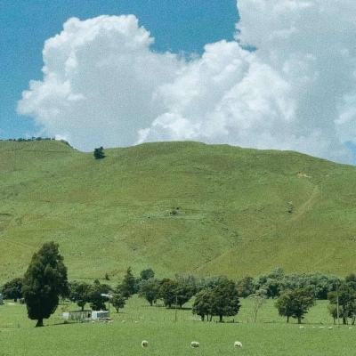 购彩中心welcome入口官方版手机app下载