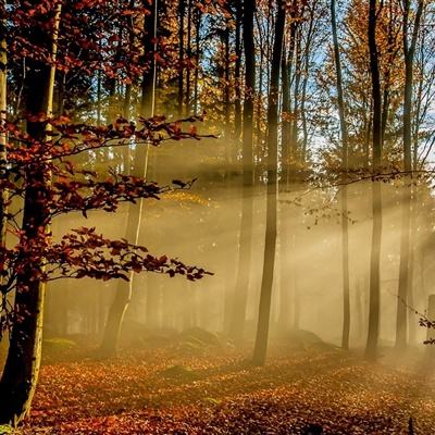 云开·全站APPkaiyun