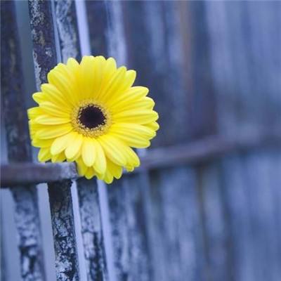 天博体育官网下载入口