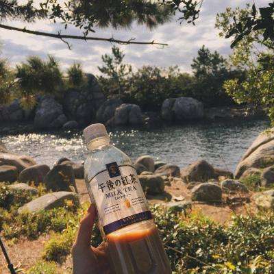 鸭脖体育app官网下载官方版