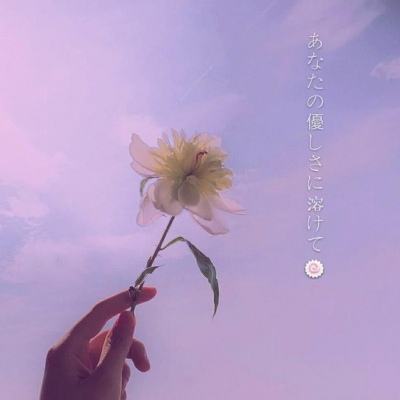 im电竞官方网站入口