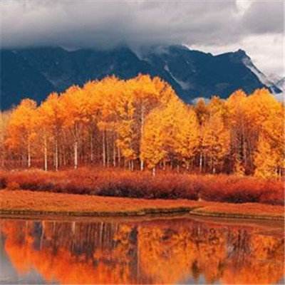 乐鱼平台app下载